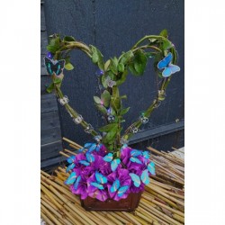 the light of my heart