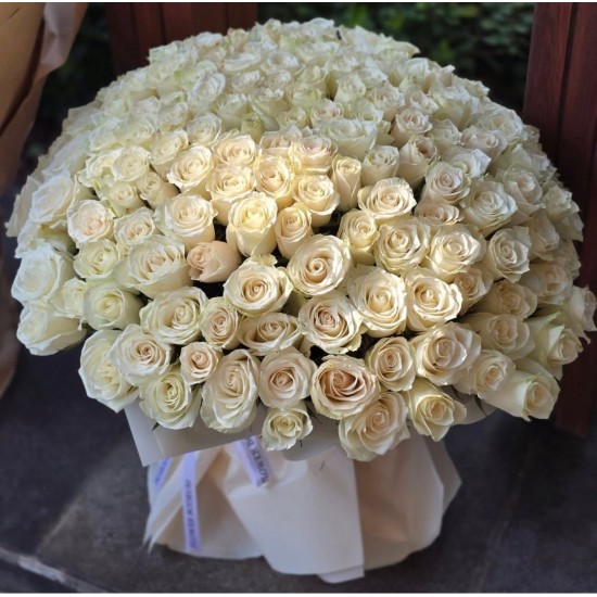 101 White Roses 101 White Roses