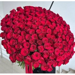 301 Red Roses