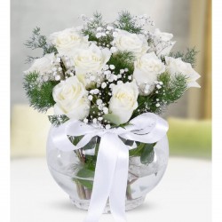 9 White Roses in the Aquarium