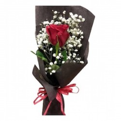 My Rose Without Thorns - 1 Single Red Rose - Special Black Arrangement