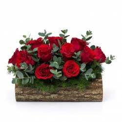 11 Red Roses on the Log