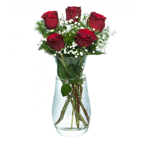 5 Red Roses in a Paşabahçe Vase