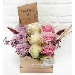 ViaBonte - Box Of Love