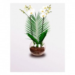 Aquarium Premium 2 Branches White Orchid Aquarium Premium 2 Branches White Orchid