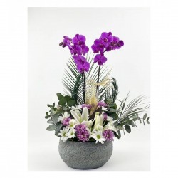 Purple Orchid - Chrysanthemum and Lily Design Special Series Purple Orchid - Chrysanthemum and Lily Design Special Series