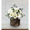 Daisy Arrangement on Natural Wood Log