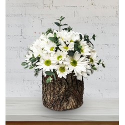 Daisy Arrangement on Natural Wood Log