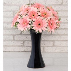 Pink Gerberas in a Love Vase
