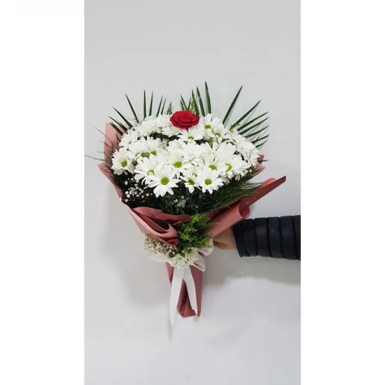Single Rose in White Daisies