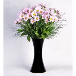 Pink Daisy in a Calypso Black Vase