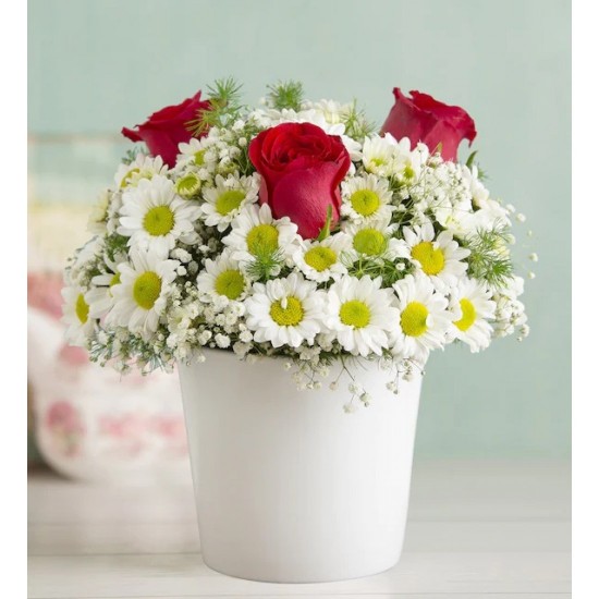 Country Beauty Daisy and 3 Red Roses Arrangement