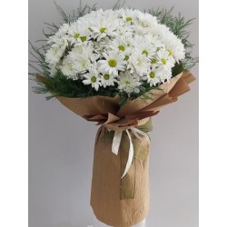 Chamomile Bouquet Chamomile Bouquet
